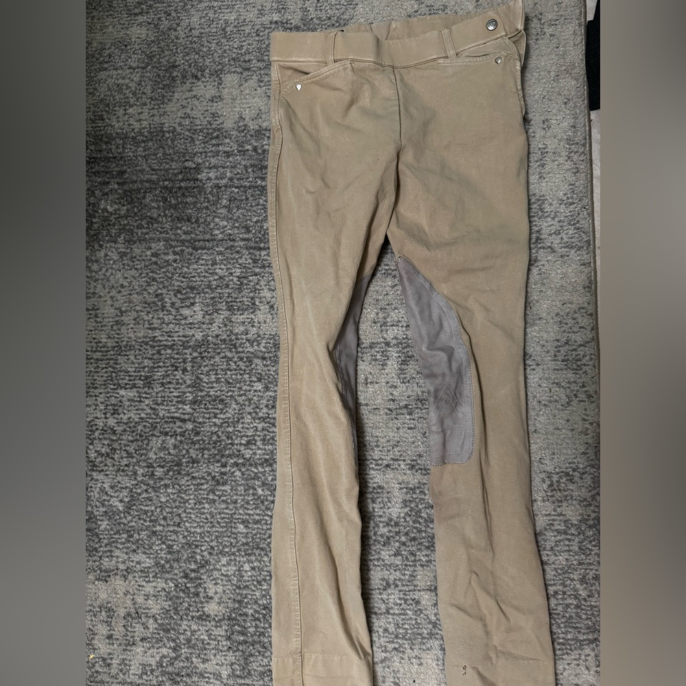 Ariat beige show breeches sz 16/XS
